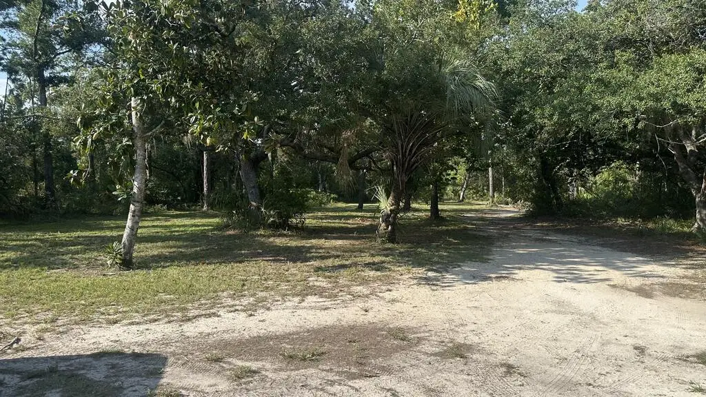 99 SW Hwy 361, Steinhatchee, FL 32359 - #1