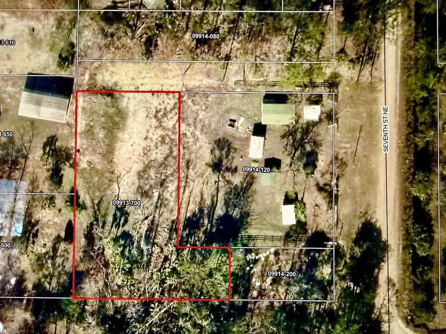 7 NE Seventh St, Steinhatchee, FL 32359 - #2