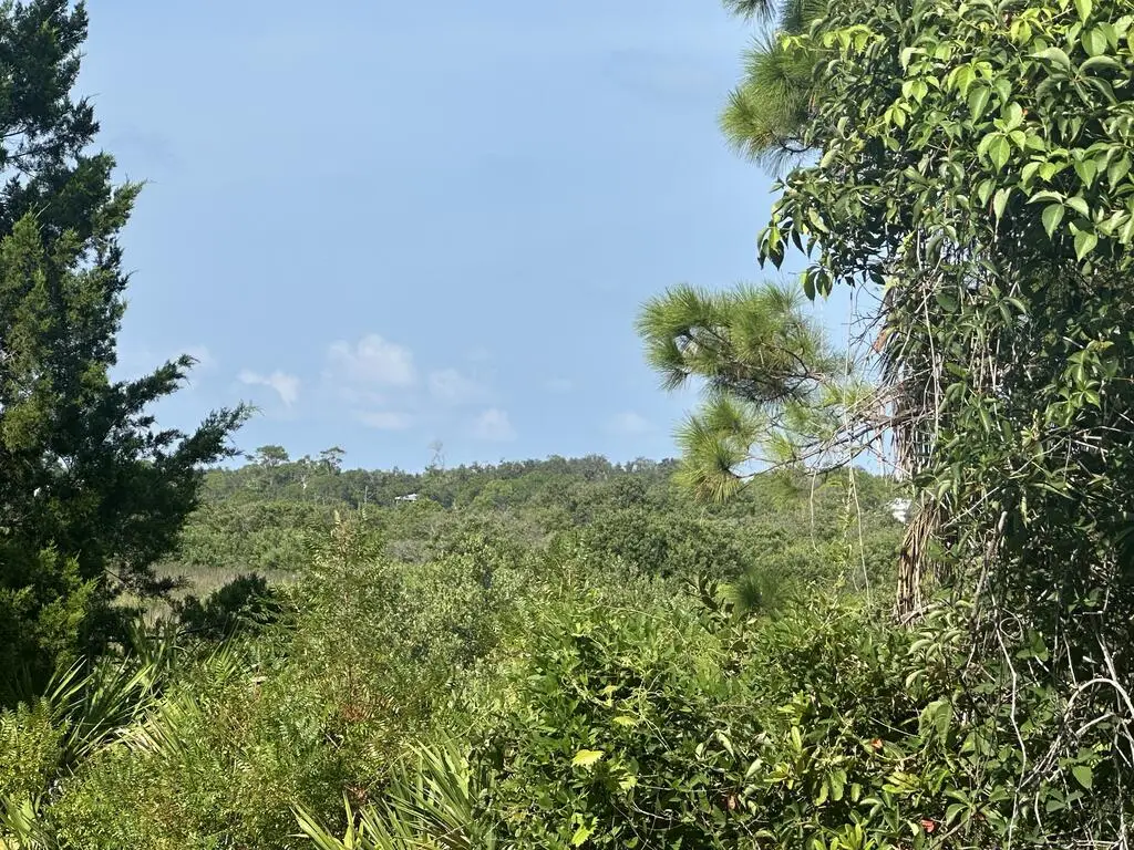 East Point Rd, Cedar Key, FL 32625 - #1