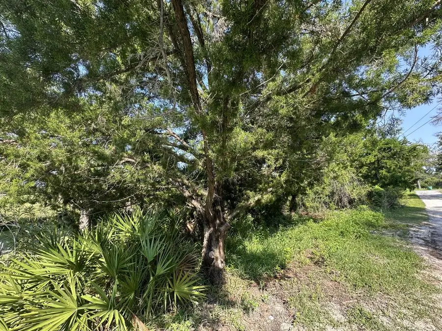 East Point Rd, Cedar Key, FL 32625 - #2