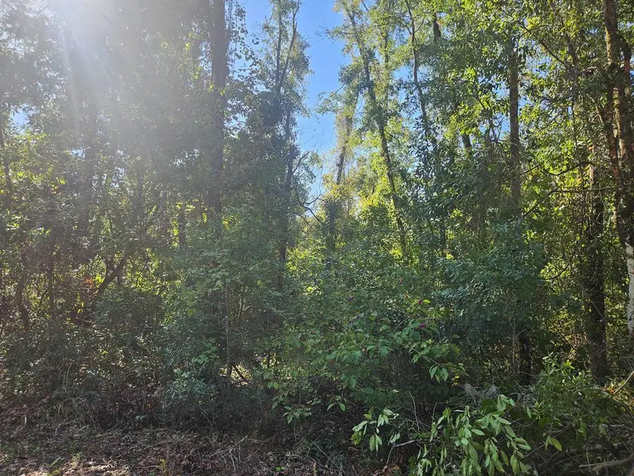 Spruce Street, Fort White, FL 32038 - #2