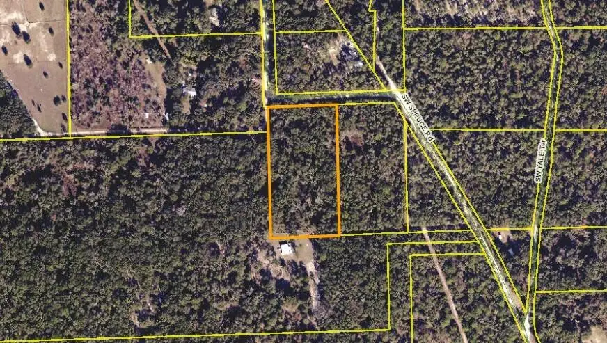 Spruce Street, Fort White, FL 32038 - #3