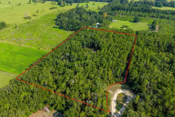 6351 NW 15th St, Bell, FL 32619