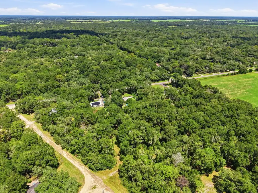 Lot 12 NW 164th St, Fanning Springs, FL 32693 - #2