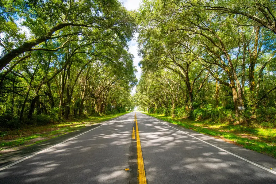 NW Hwy 129, Chiefland, FL 32626 - #3