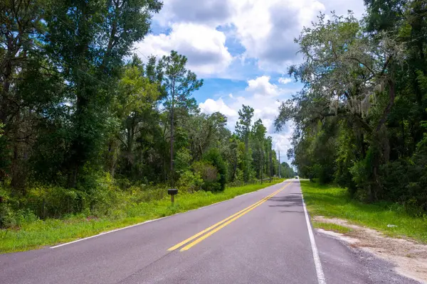 NE 118th Ter, Bronson, FL 32621