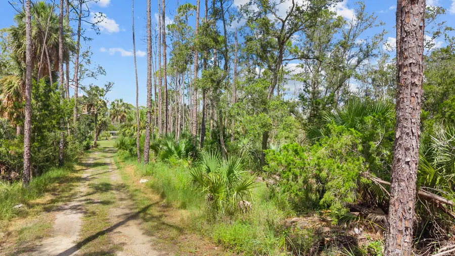 8 NE Fourth St, Steinhatchee, FL 32359 - #2