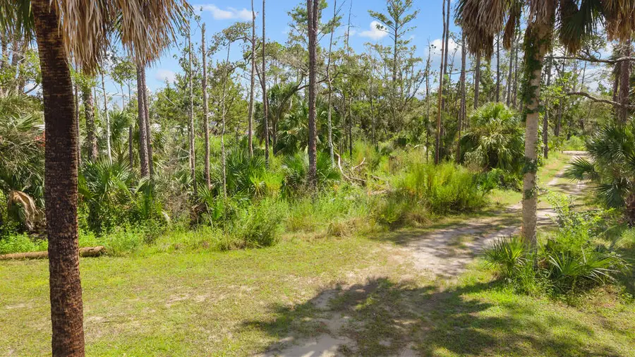 8 NE Fourth St, Steinhatchee, FL 32359 - #3