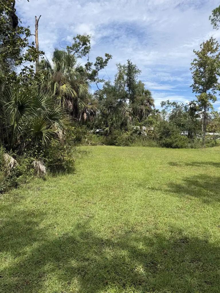 816 NW Melrose Dr, Steinhatchee, FL 32359 - #3