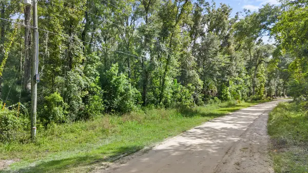 370 NE 385th Ave, Old Town, FL 32680