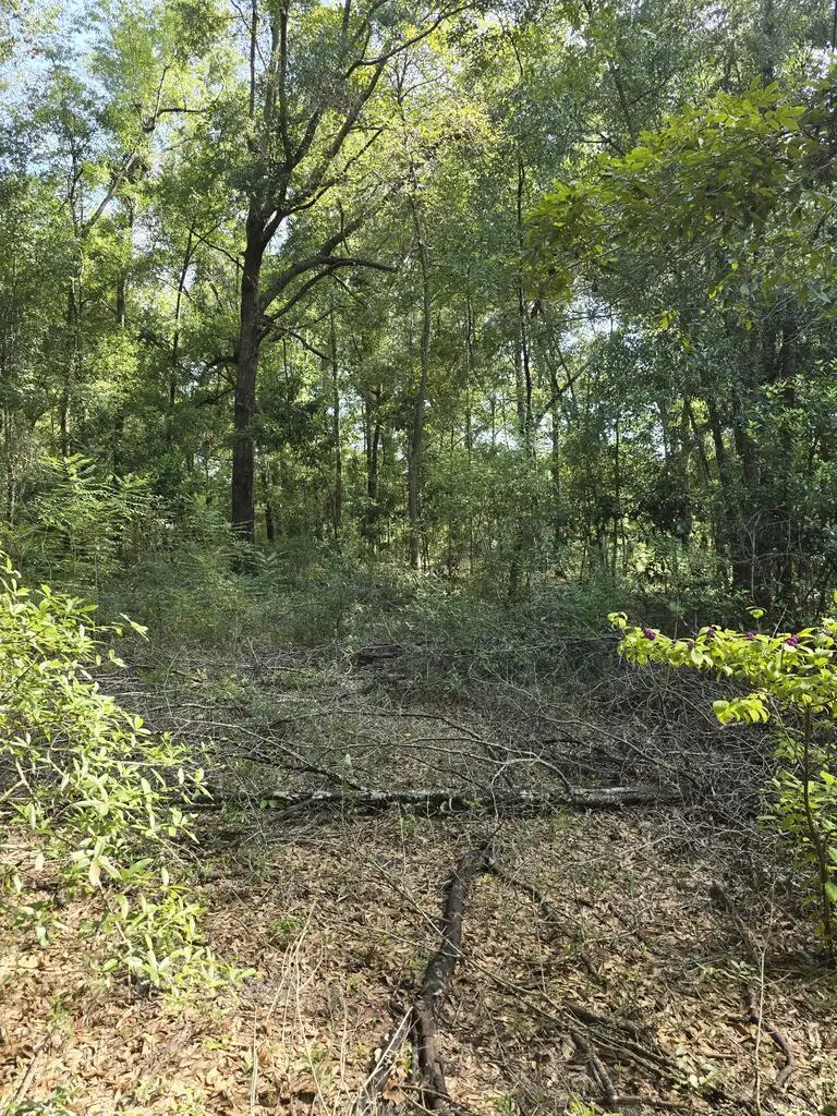 TBD 216th St, Lake City, FL 32024 - #2