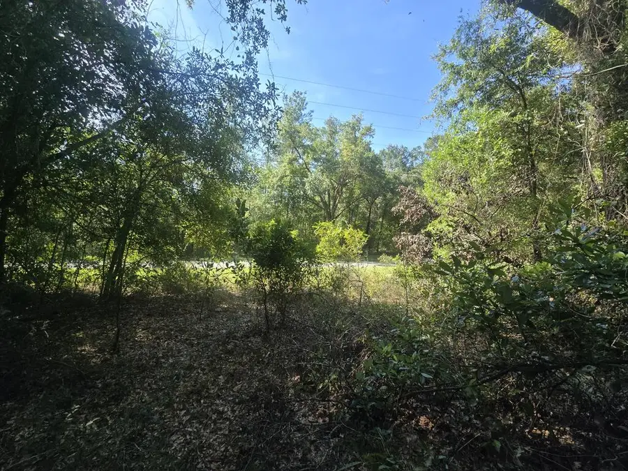 TBD 216th St, Lake City, FL 32024 - #3