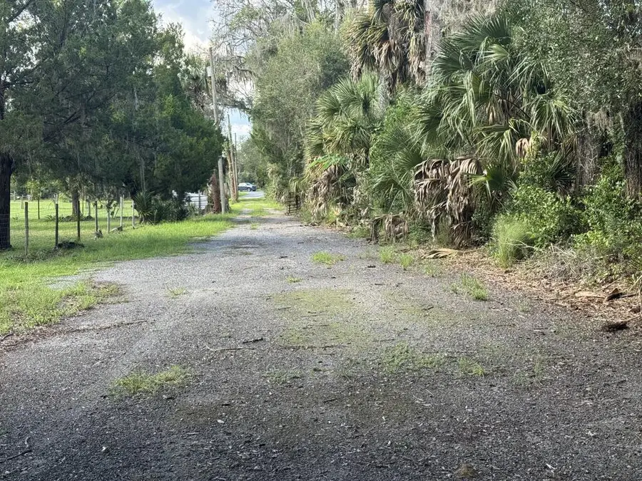123 SE 423rd St, Cross City, FL 32628 - #3