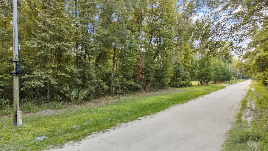 316 NE 746th St, Old Town, FL 32680 - #2