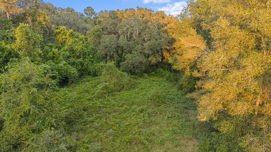 831 NE 102nd Ave, Old Town, FL 32680 - #2