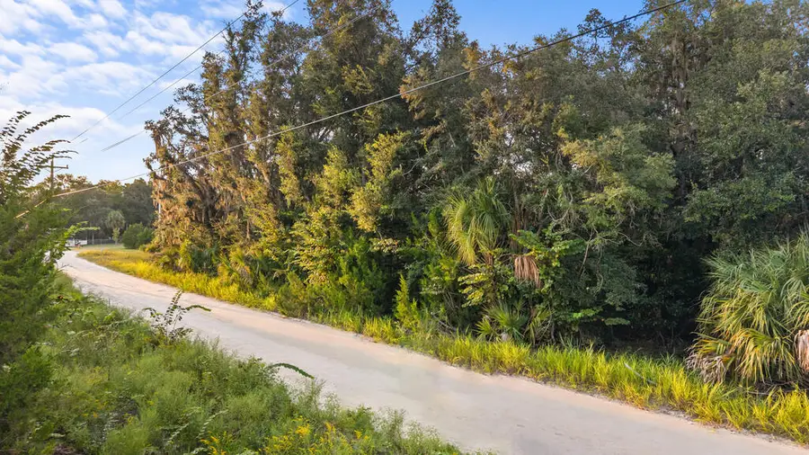 831 NE 102nd Ave, Old Town, FL 32680 - #3