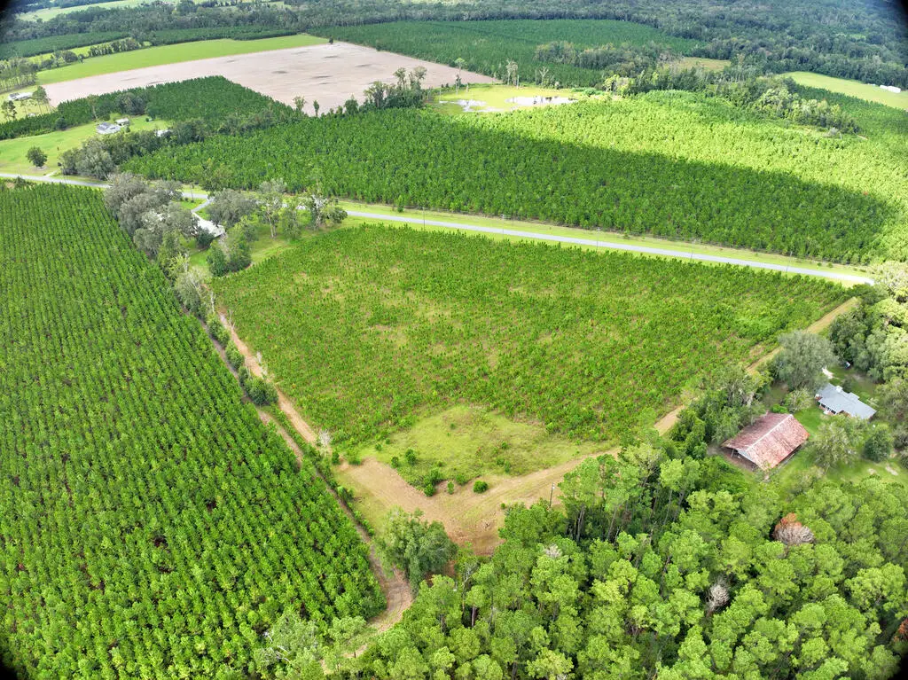 NE Not Named, Wellborn, FL 32060 - #1