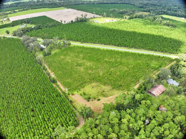 NE Not Named, Wellborn, FL 32060