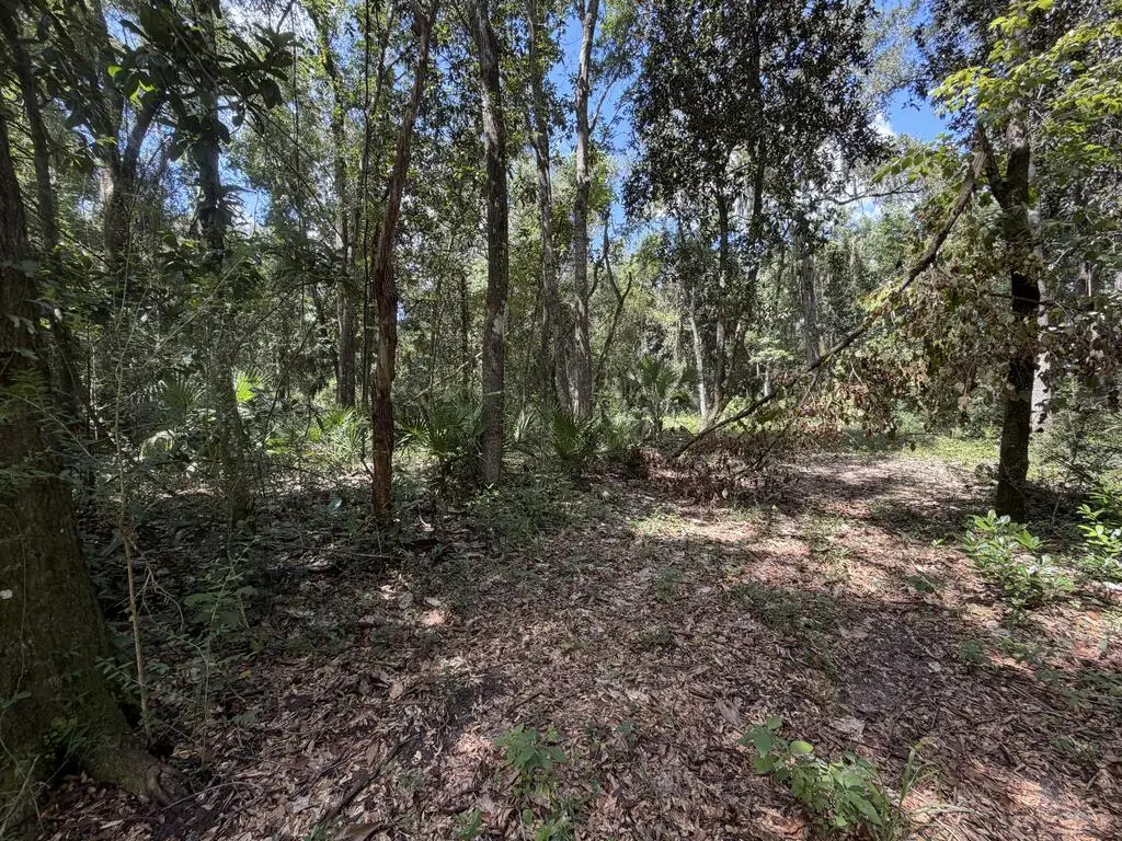 SW 25th Ave, Chiefland, FL 32626 - #1