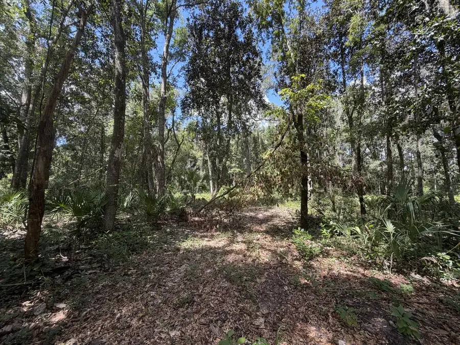 SW 25th Ave, Chiefland, FL 32626 - #2