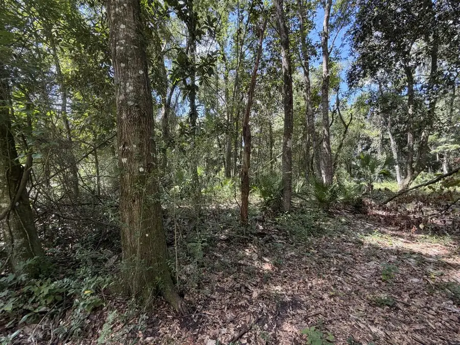 SW 25th Ave, Chiefland, FL 32626 - #3
