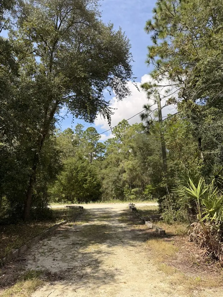 6650 NW 12th Ct, Bell, FL 32619 - #2