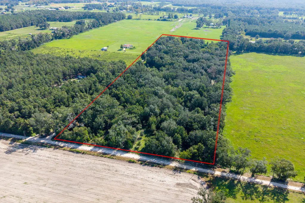 2450 SW 25th Ave, Bell, FL 32619 - #1