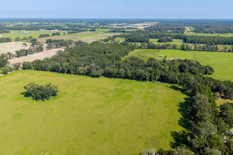 2450 SW 25th Ave, Bell, FL 32619 - #3