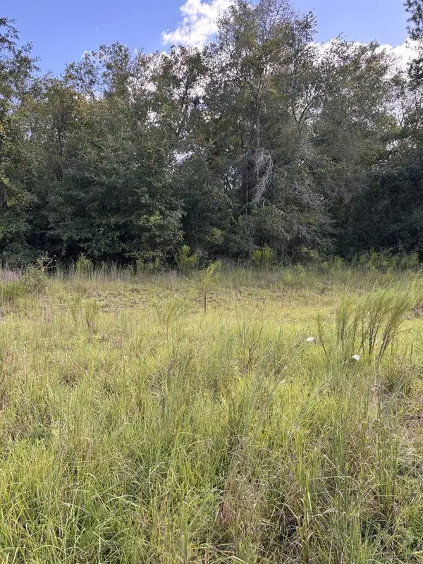 166th Pl, Wellborn, FL 32094