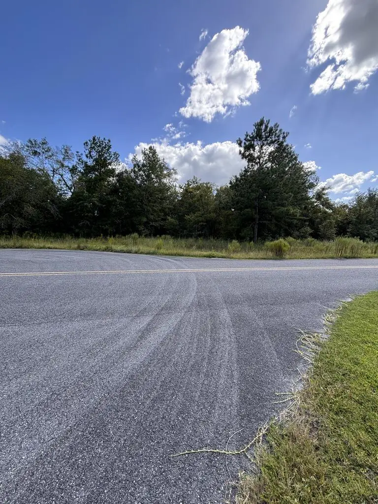 166th Pl, Wellborn, FL 32094 - #2