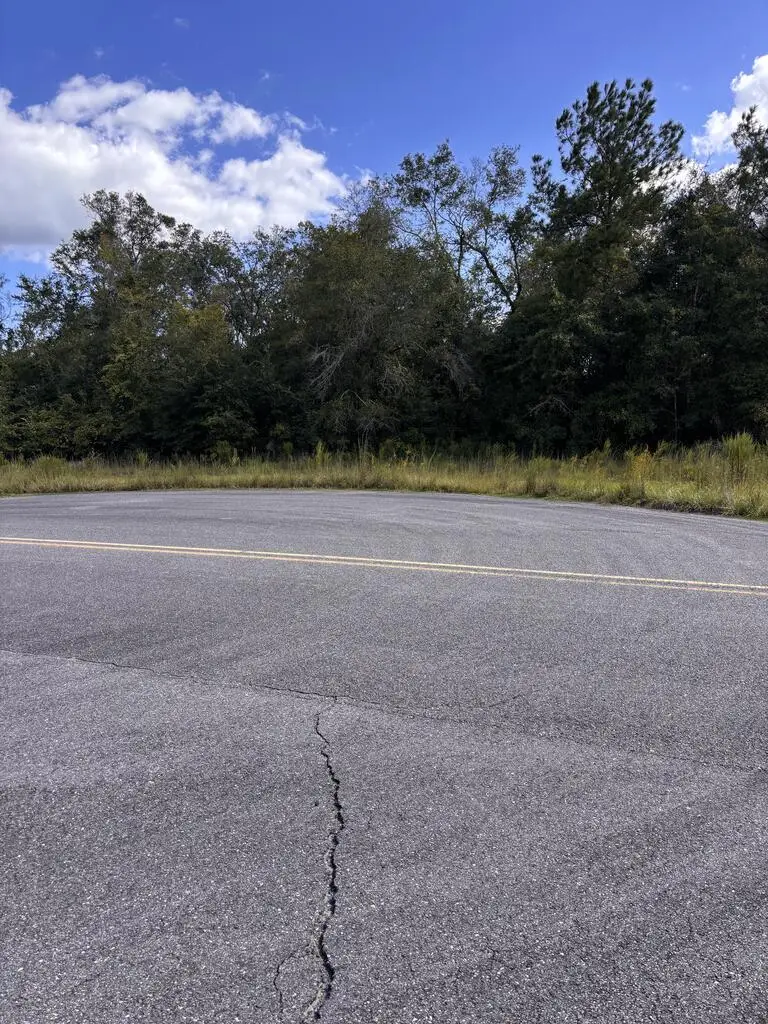 166th Pl, Wellborn, FL 32094 - #3