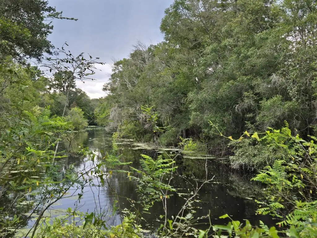 2180 SE Hwy 317, Old Town, FL 32680 - #1