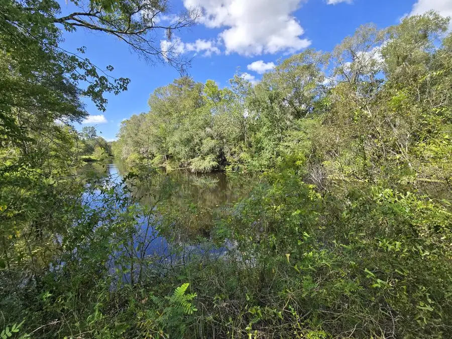 2180 SE Hwy 317, Old Town, FL 32680 - #2