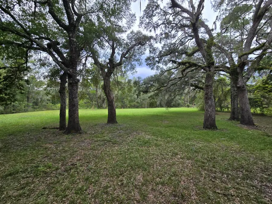 2180 SE Hwy 317, Old Town, FL 32680 - #3