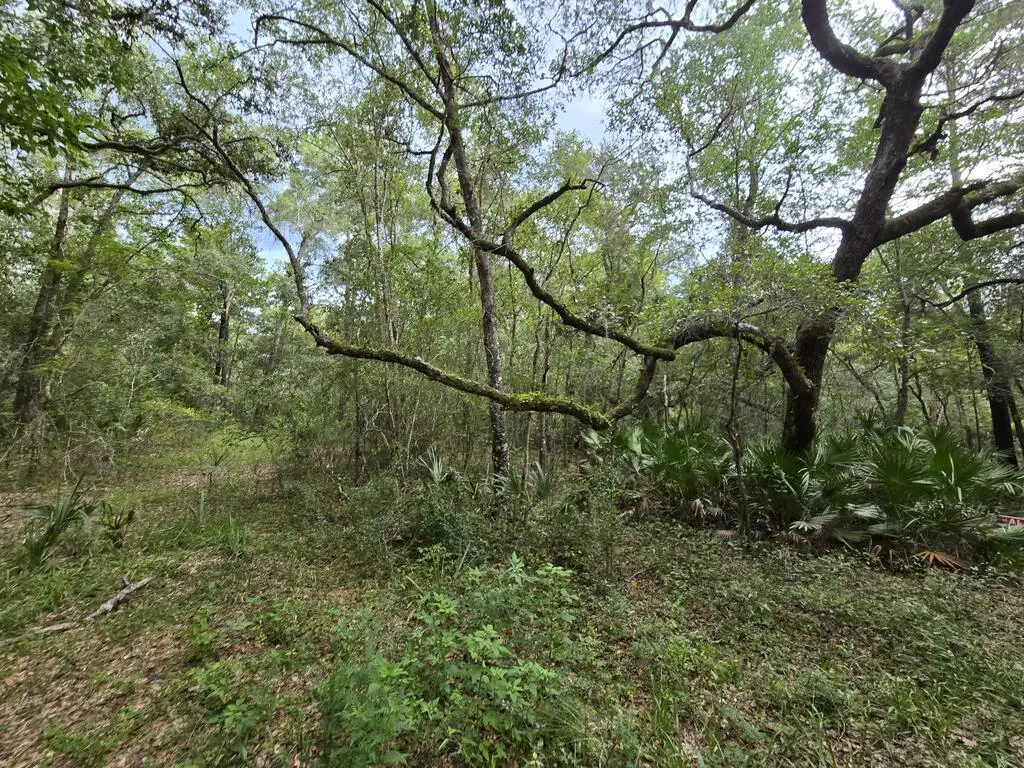 LOT 35 SE 229 Ln, Old Town, FL 32680 - #1