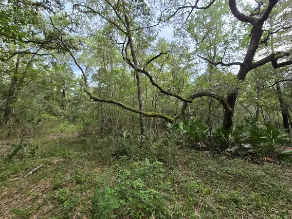 LOT 35 SE 229 Ln, Old Town, FL 32680