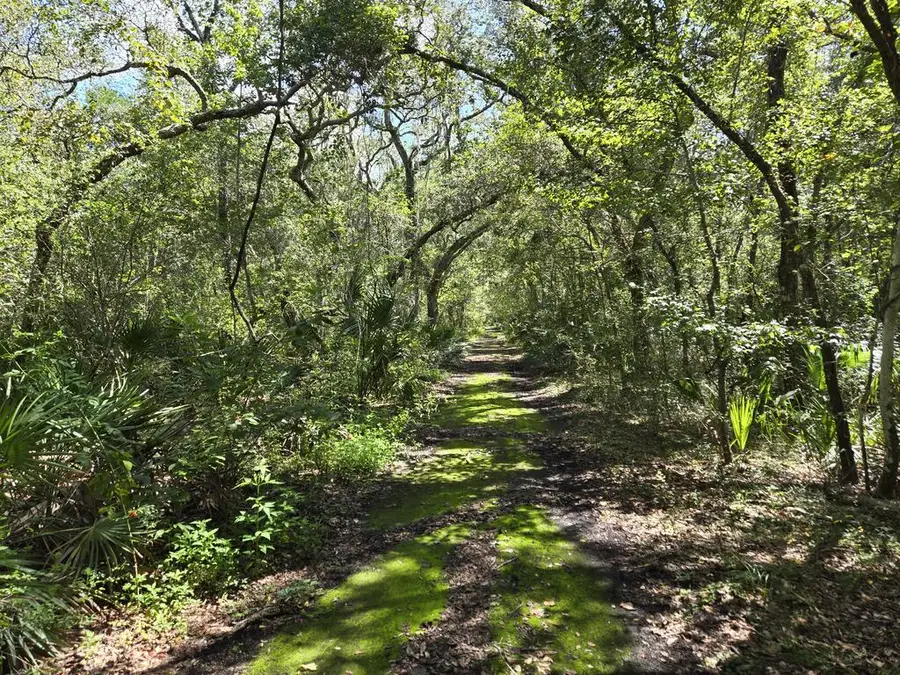 LOT 35 SE 229 Ln, Old Town, FL 32680 - #2