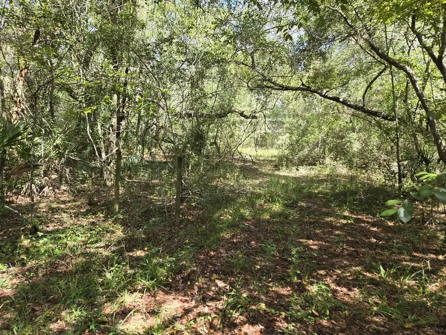 LOT 35 SE 229 Ln, Old Town, FL 32680 - #3