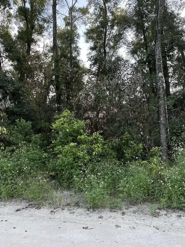 0 SW 81st Ter, Trenton, FL 32693