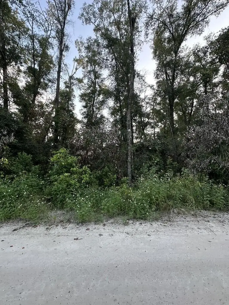 0 SW 81st Ter, Trenton, FL 32693 - #2