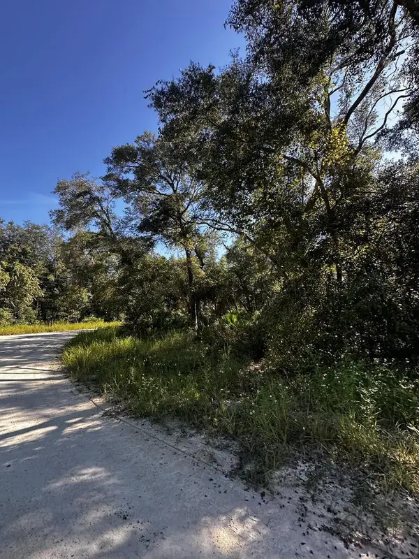 0 NE 306th Ave, Old Town, FL 32680
