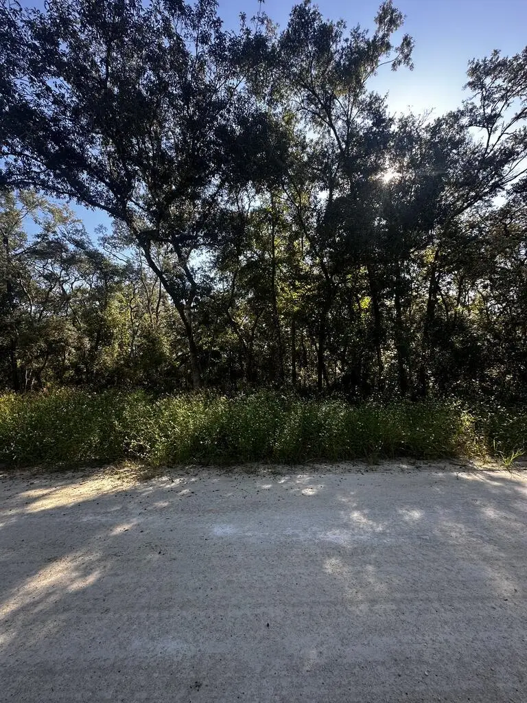0 NE 306th Ave, Old Town, FL 32680 - #2