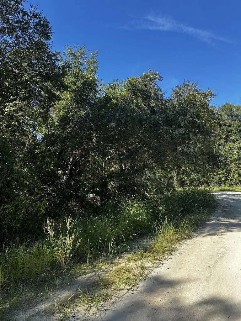 0 NE 306th Ave, Old Town, FL 32680 - #3