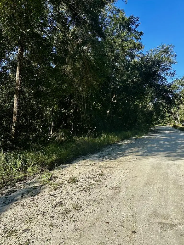 0 NE 756th St, Old Town, FL 32680 - #3
