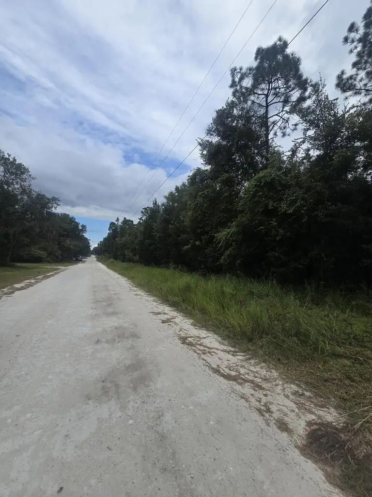 TBD NW 799th St, Old Town, FL 32680 - #1