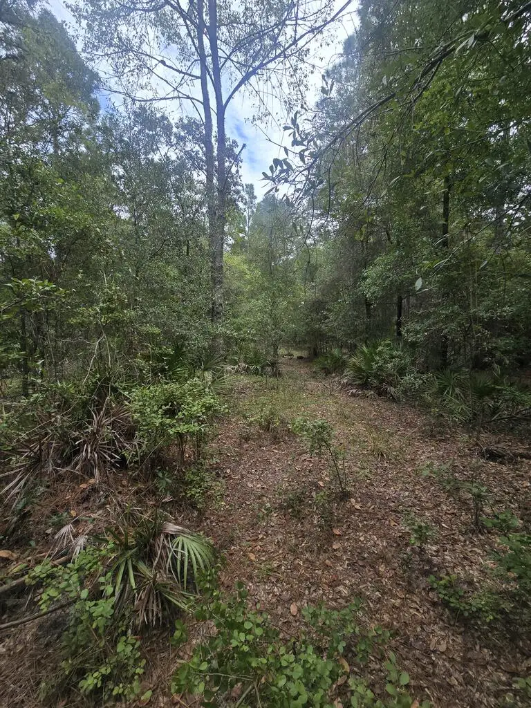TBD NW 799th St, Old Town, FL 32680 - #3
