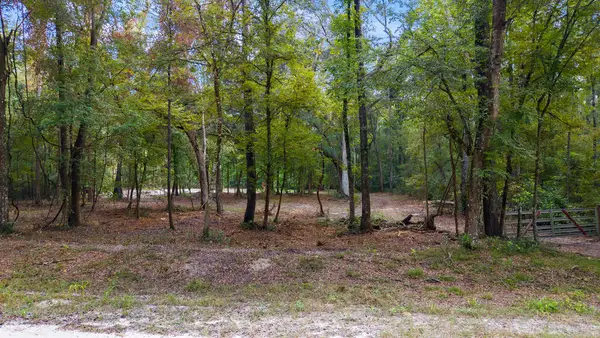 639 NE 298th Ave, Old Town, FL 32680