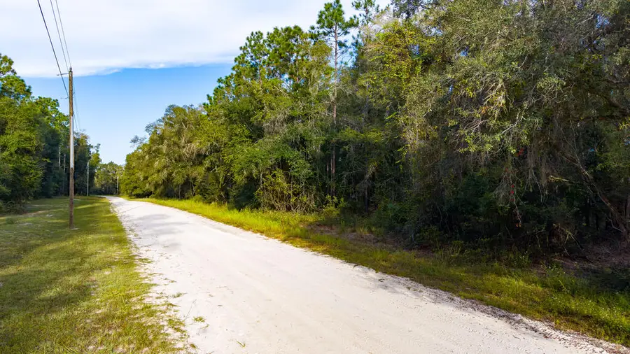 0001 NE 807th Ave, Old Town, FL 32680 - #3