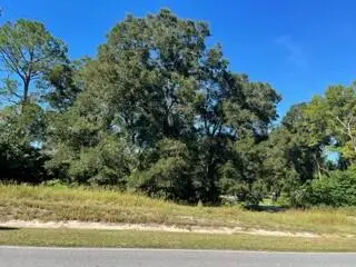 NW 239th Ter, High Springs, FL 32643 - #2