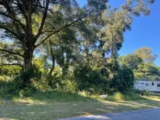 NW 239th Ter, High Springs, FL 32643 - #3